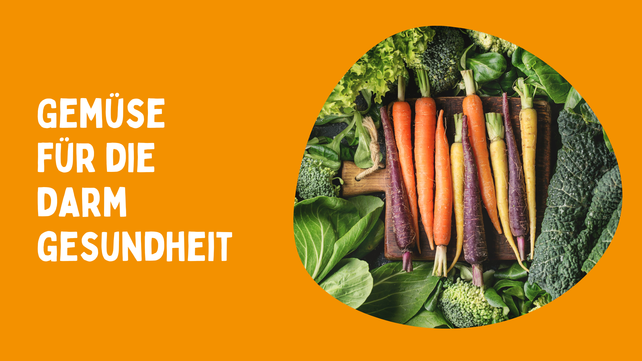Gemüse als Präbiotikum für unsere Darmbakterien