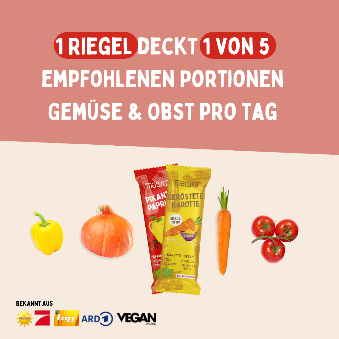 Brotzeit Bundle Bio-Gemüse-Riegel 24 Stück