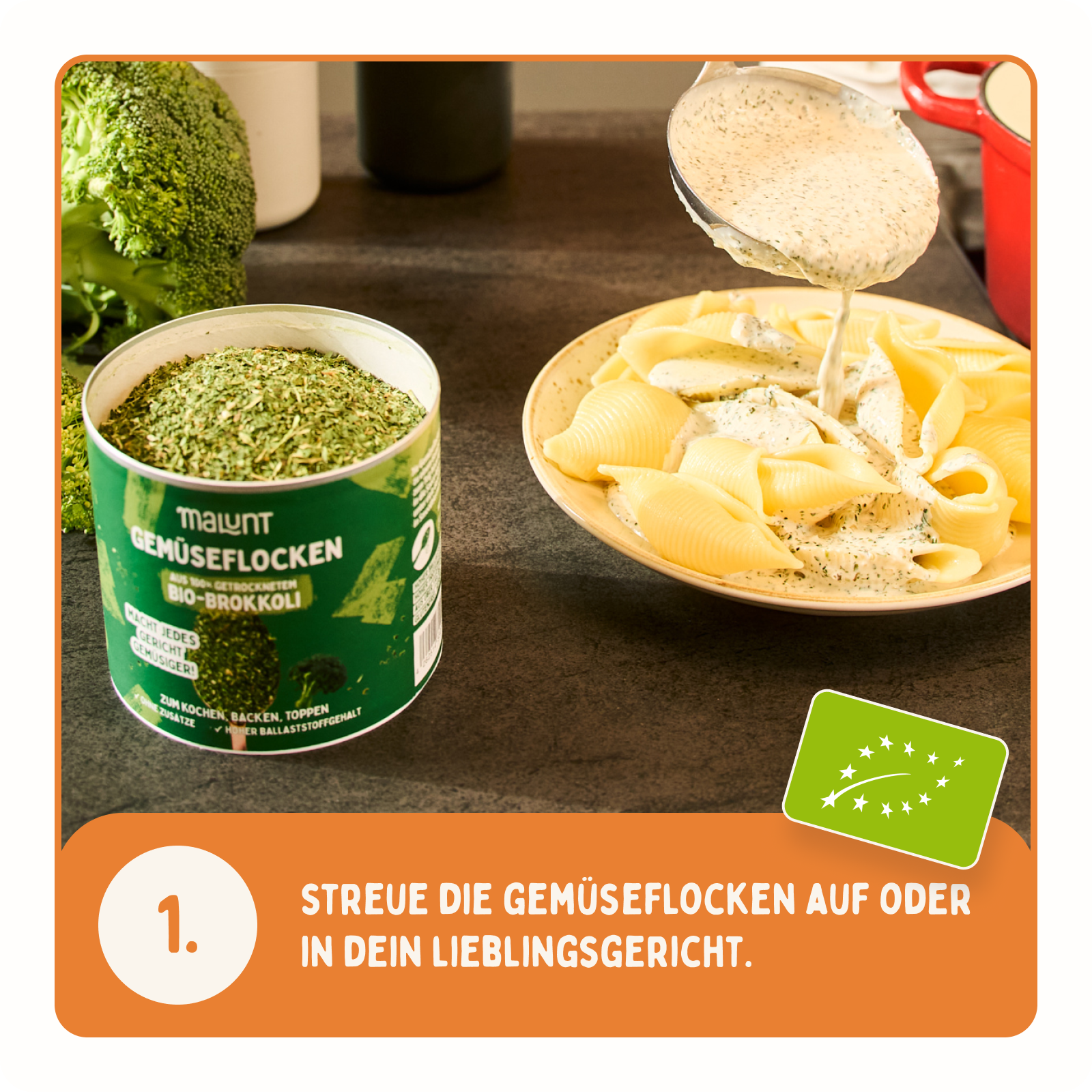 Alltags-Gemüse Set