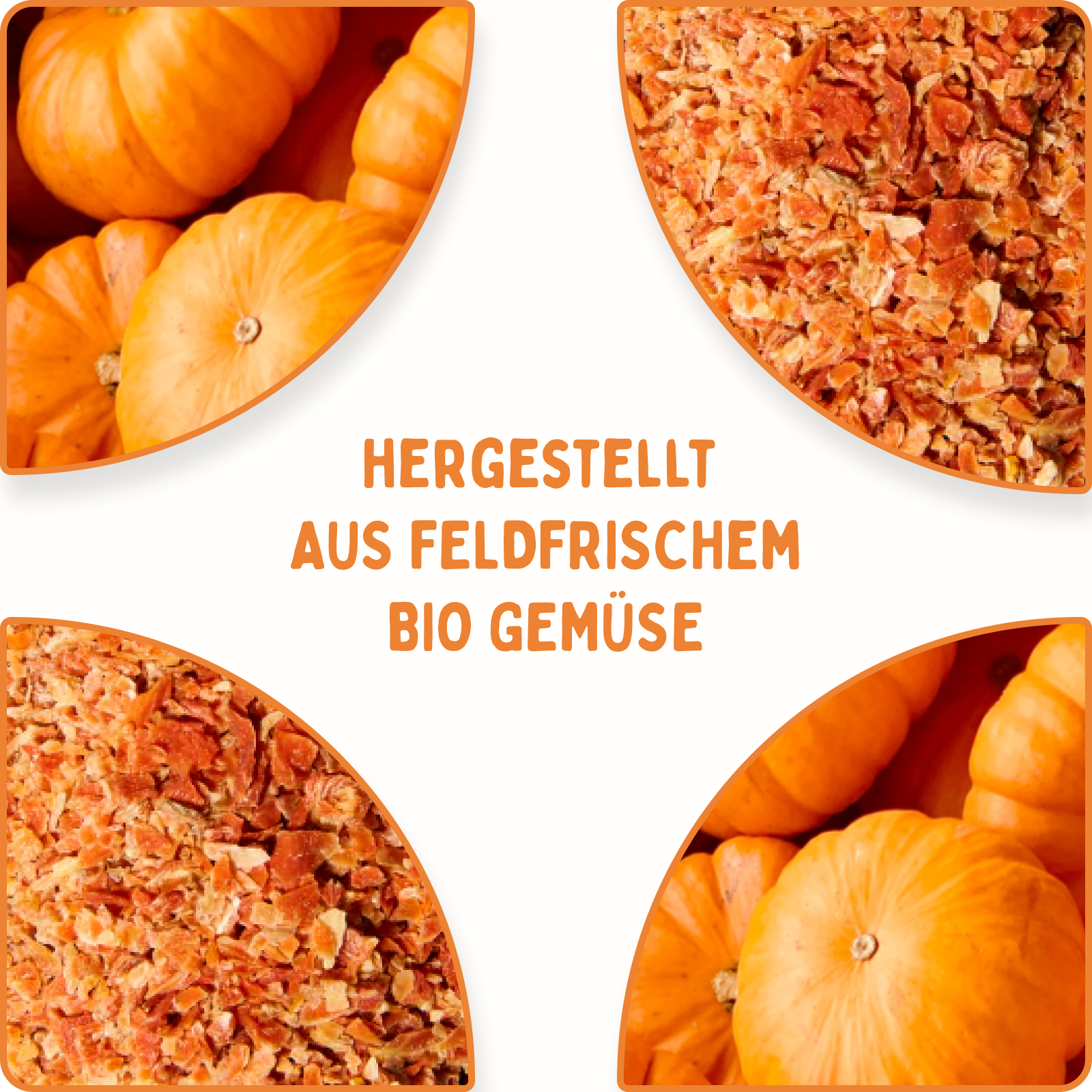 Kürbis Flocken