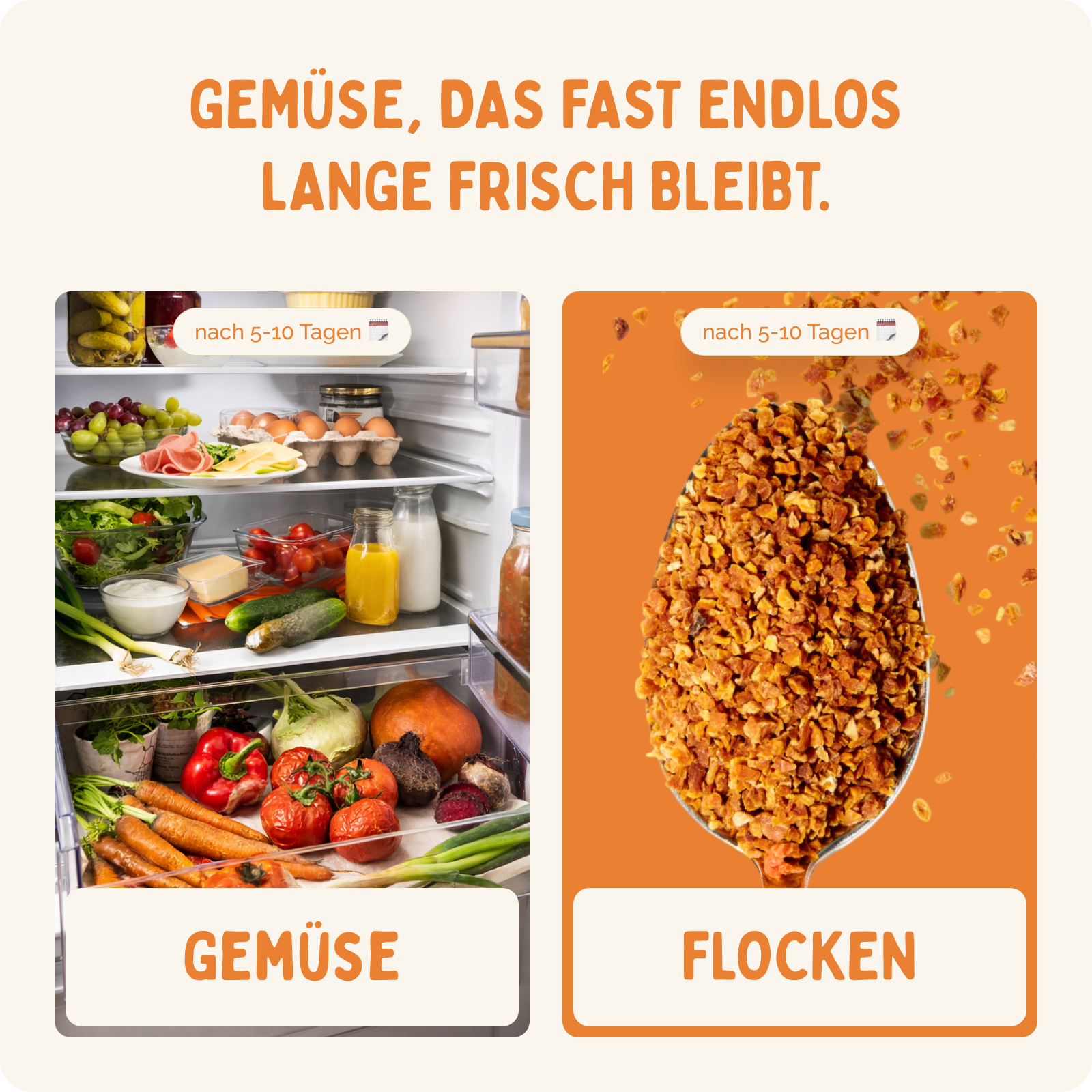 Starterset Gemüseflocken