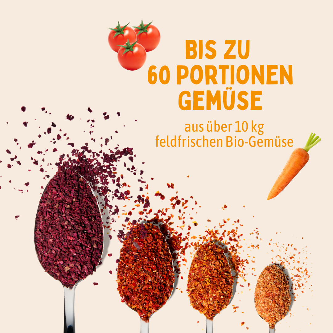 Starter-Bundle Gemüseflocken