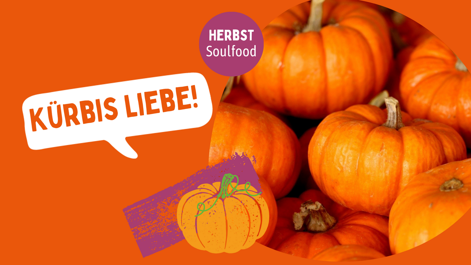 Vielfältiger Kürbis: Rezepte und Tipps für die Kürbis-Saison