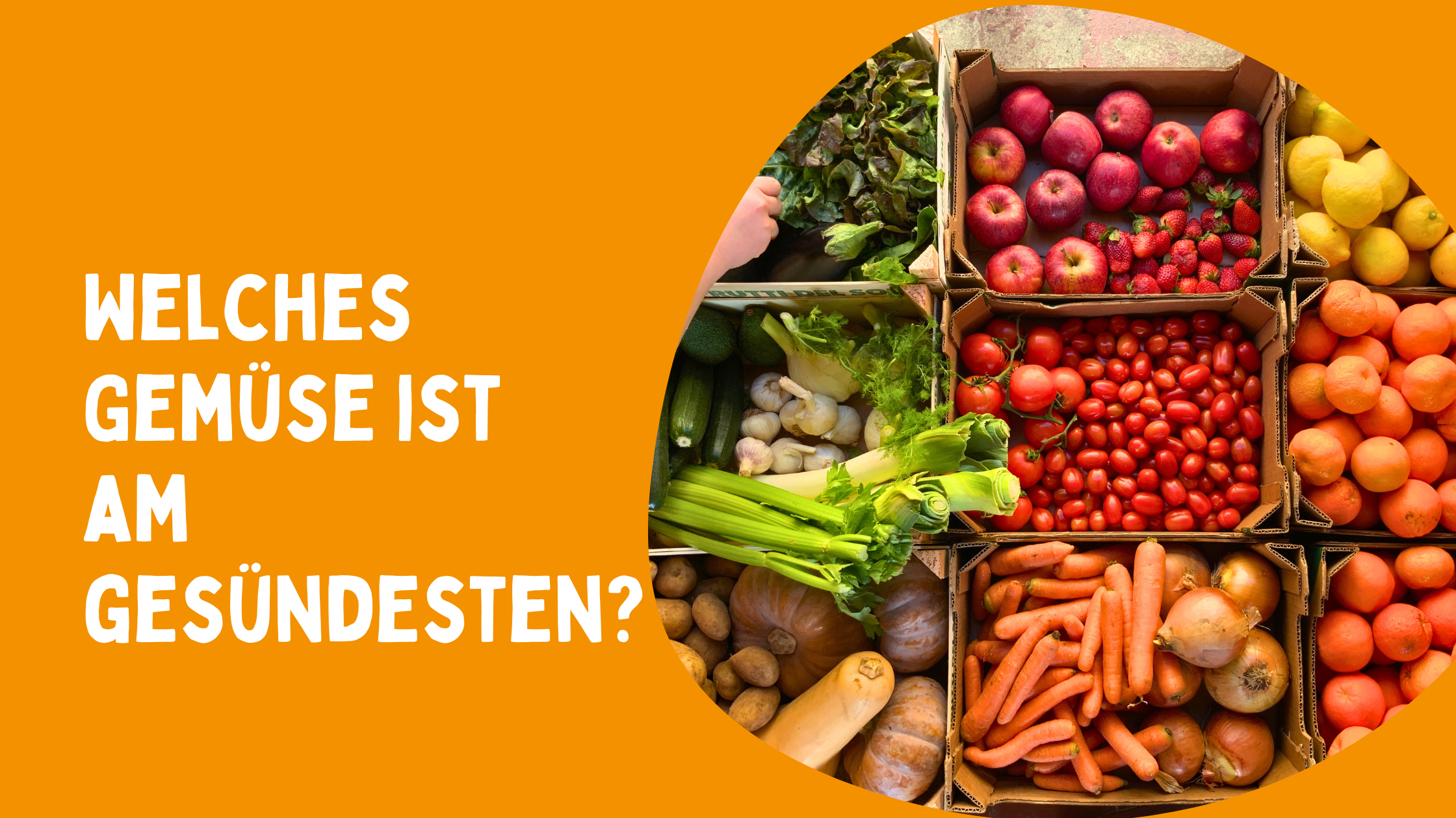 Welches Gemüse ist am gesündesten?