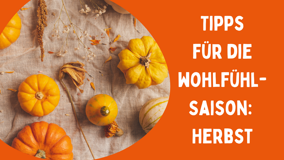 Gesund durch den Herbst: Tipps für eine Wohlfühl-Saison