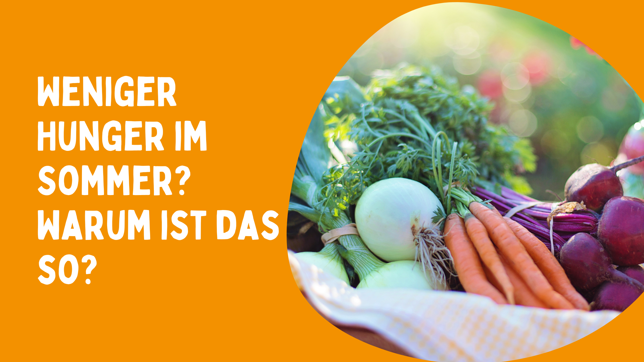 Warum wir im Sommer weniger Hunger haben