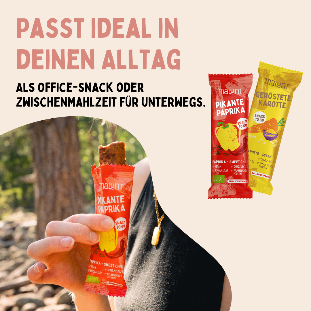 Brotzeit Bundle Bio-Gemüse-Riegel 24 Stück
