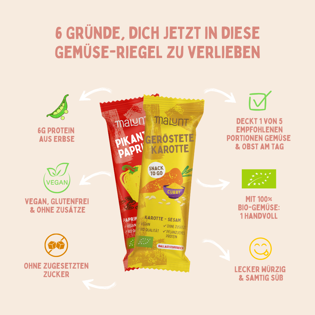 Brotzeit Bundle Bio-Gemüse-Riegel 24 Stück