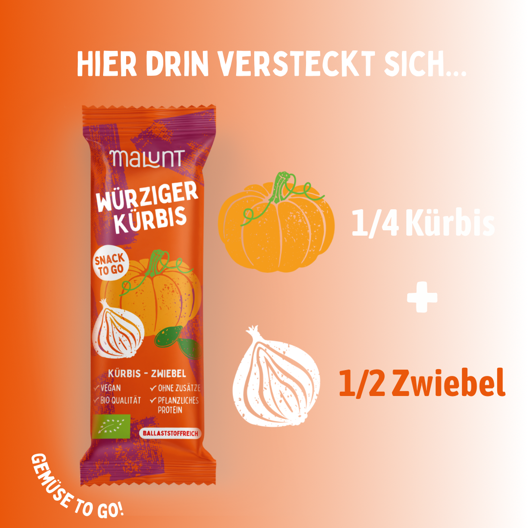 12x Würziger Bio-Kürbis-Zwiebel Riegel, vegan