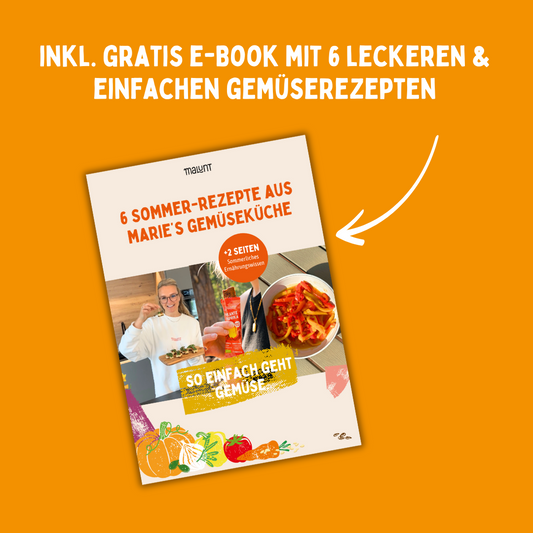 Brotzeit Bundle Bio-Gemüse-Riegel 24 Stück