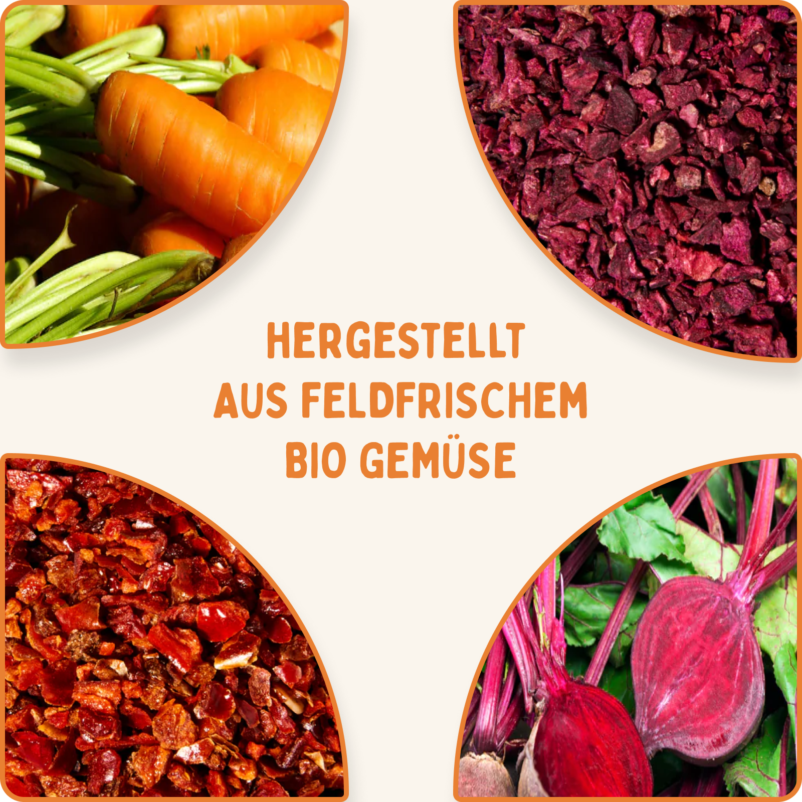 Starterset Gemüseflocken