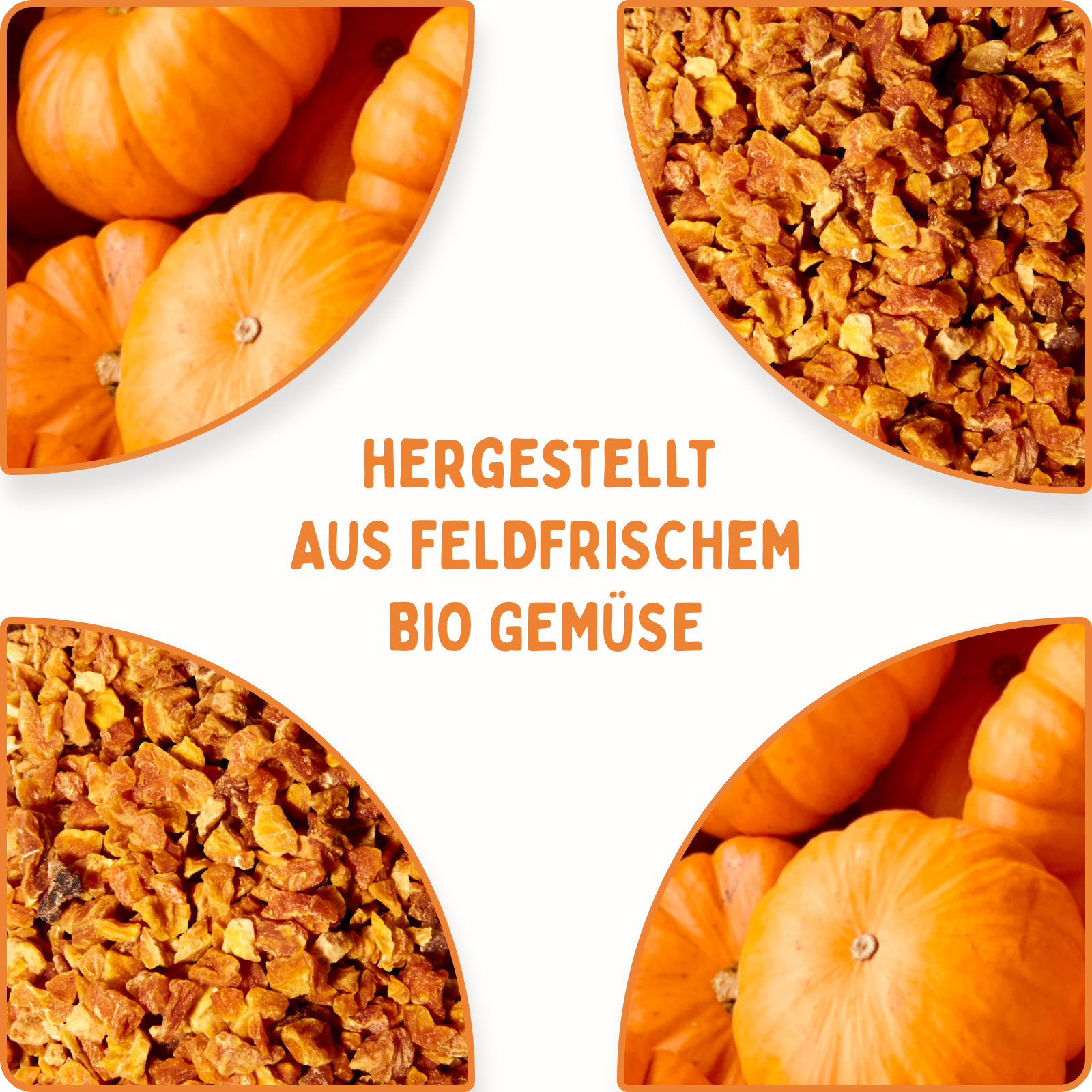 Kürbis Flocken