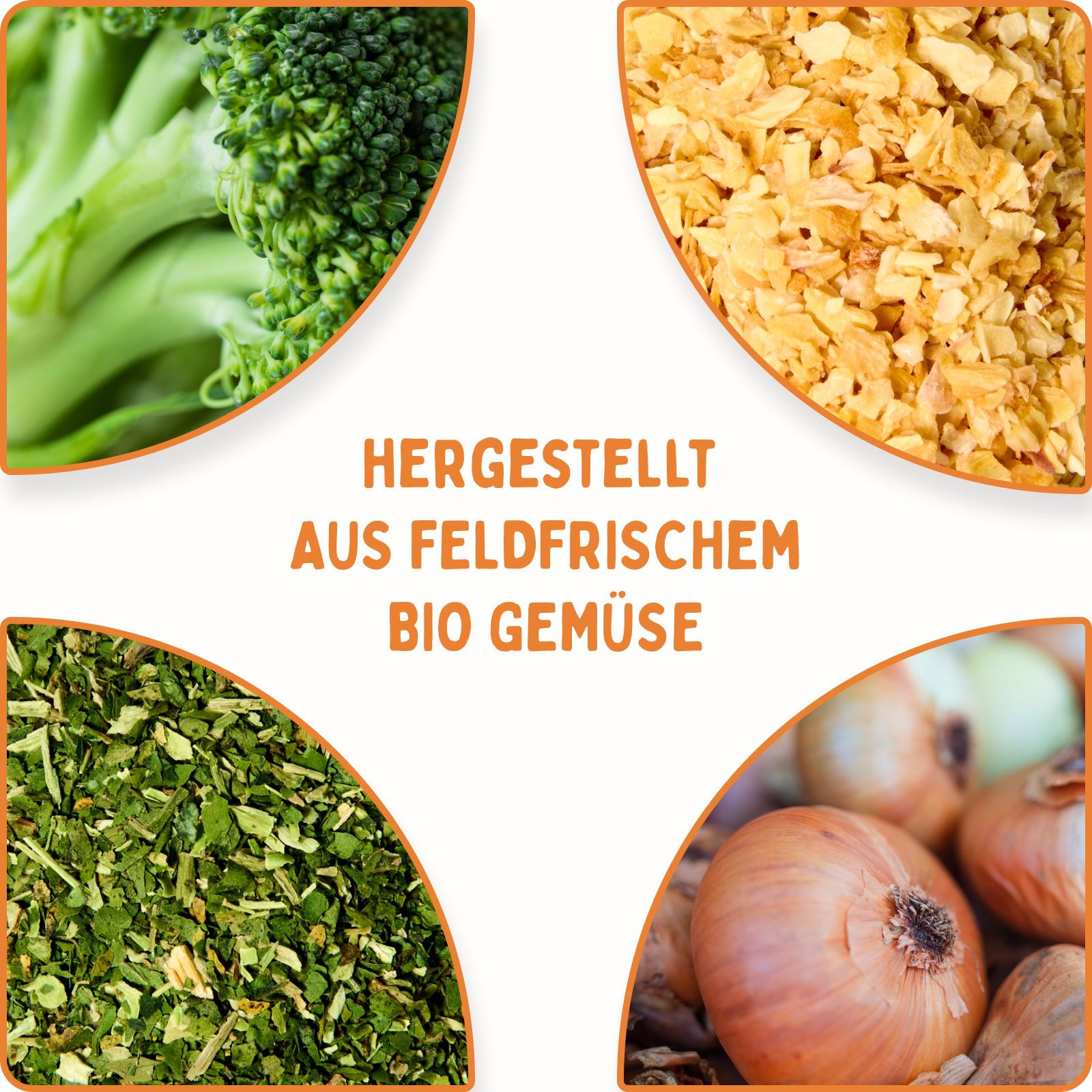 Alltags-Gemüse Set