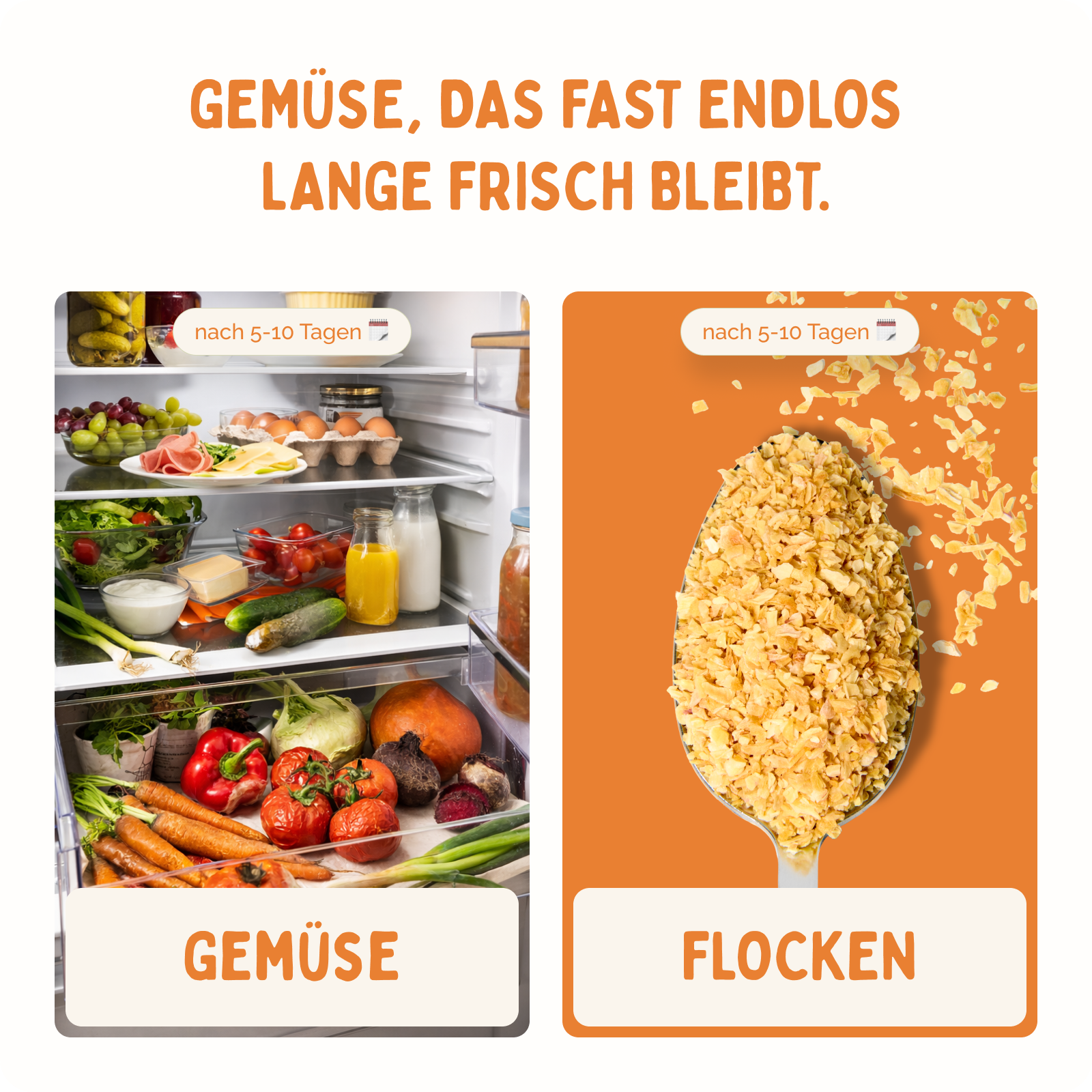 Launch Set - Brokkoli & Zwiebel