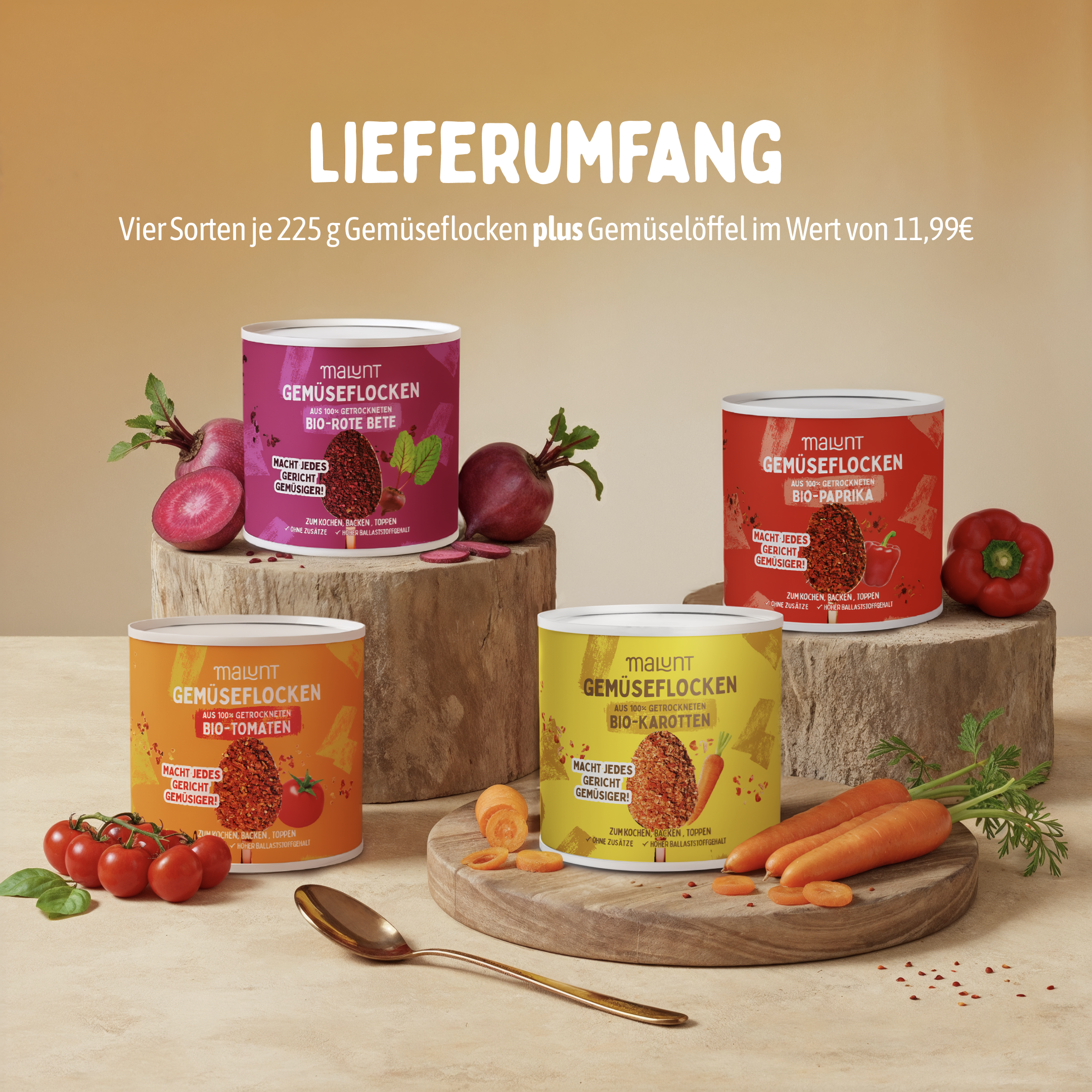 Starterset Gemüseflocken