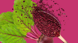 Rote Bete