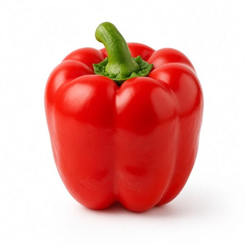 Paprika