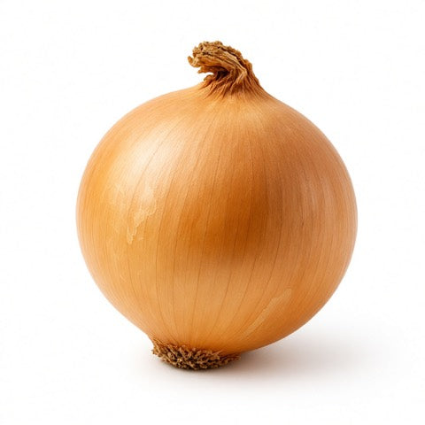 Zwiebel